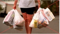 Međunarodni dan bez plastičnih vrećica