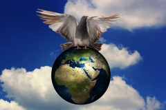 Internationaler Tag für die Verhütung der Ausbeutung der Umwelt in Kriegen und bewaffneten Konflikten