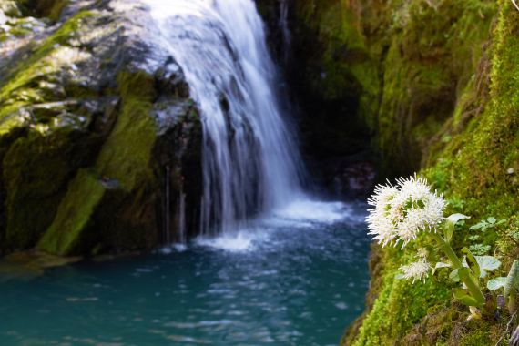 Hrvatska je vodeća u EU po obnovljivim resursima slatke vode